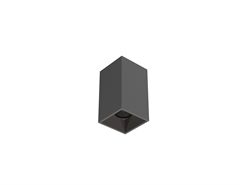 Related product